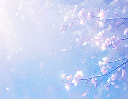 佛学之哲学思想及方法论10（临时版）