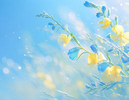 大幻化网的见解和修法6